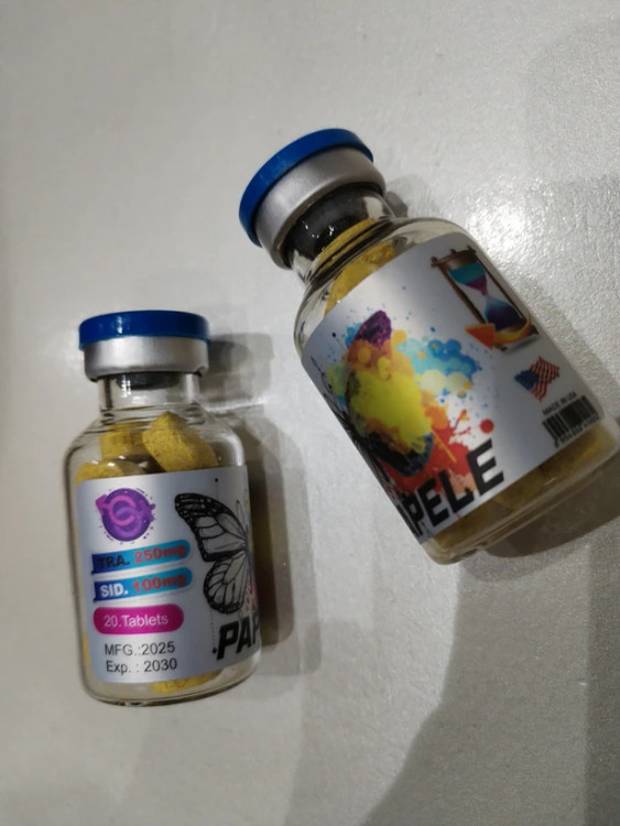 قرص پاپلی طلایی